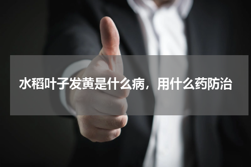 水稻叶子发黄是什么病，用什么药防治