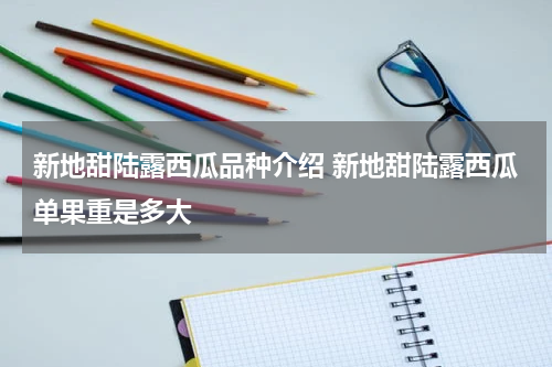 新地甜陆露西瓜品种介绍 新地甜陆露西瓜单果重是多大