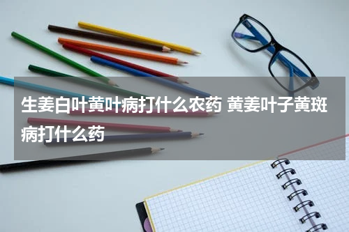 生姜白叶黄叶病打什么农药 黄姜叶子黄斑病打什么药