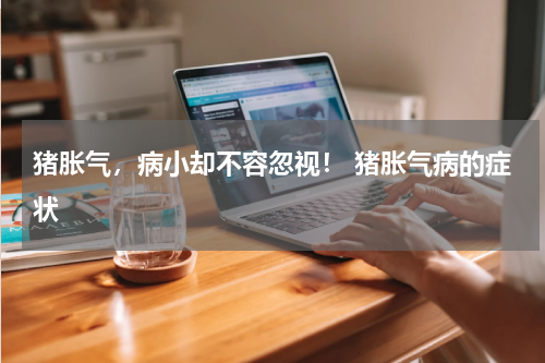 猪胀气，病小却不容忽视！ 猪胀气病的症状