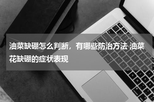 油菜缺硼怎么判断，有哪些防治方法 油菜花缺硼的症状表现