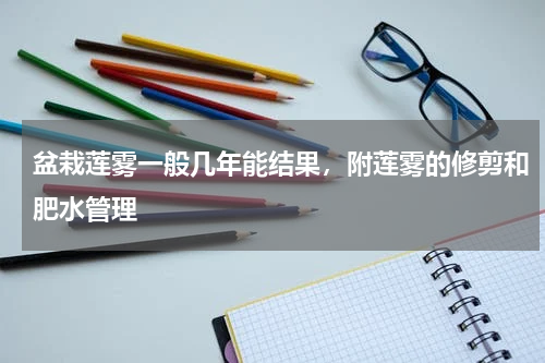 盆栽莲雾一般几年能结果，附莲雾的修剪和肥水管理