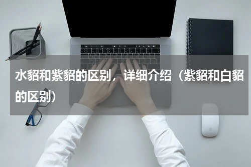水貂和紫貂的区别，详细介绍（紫貂和白貂的区别）