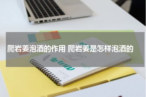 爬岩姜泡酒的作用 爬岩姜是怎样泡酒的