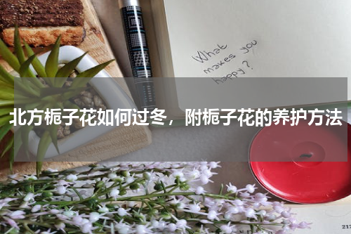 北方栀子花如何过冬，附栀子花的养护方法