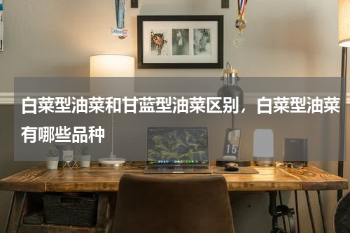 白菜型油菜和甘蓝型油菜区别，白菜型油菜有哪些品种
