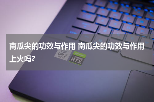 南瓜尖的功效与作用 南瓜尖的功效与作用上火吗?