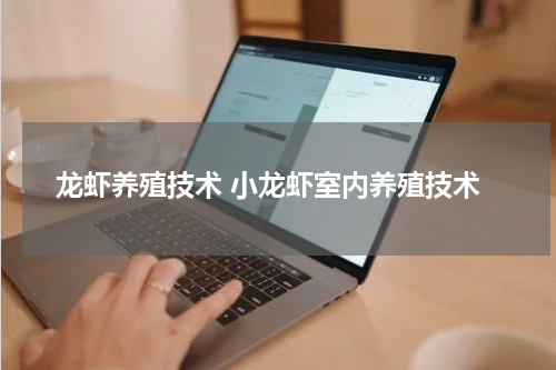 龙虾养殖技术 小龙虾室内养殖技术
