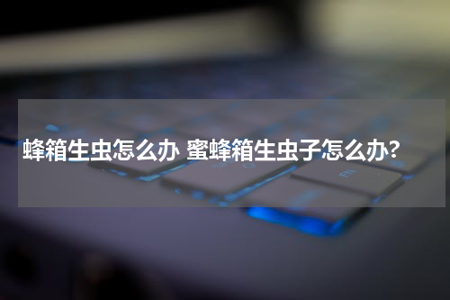 蜂箱生虫怎么办 蜜蜂箱生虫子怎么办?