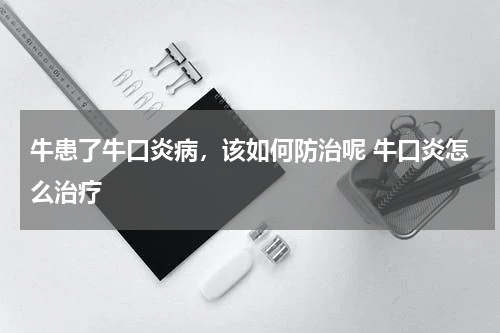 牛患了牛口炎病，该如何防治呢 牛口炎怎么治疗