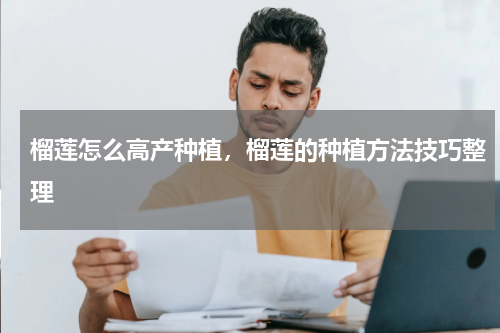 榴莲怎么高产种植，榴莲的种植方法技巧整理