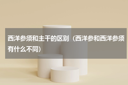 西洋参须和主干的区别（西洋参和西洋参须有什么不同）