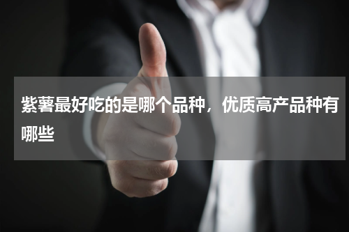 紫薯最好吃的是哪个品种，优质高产品种有哪些