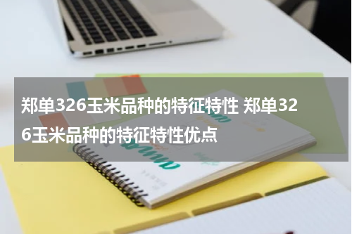 郑单326玉米品种的特征特性 郑单326玉米品种的特征特性优点