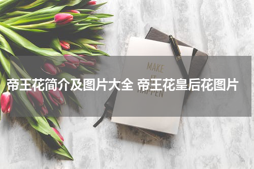 帝王花简介及图片大全 帝王花皇后花图片