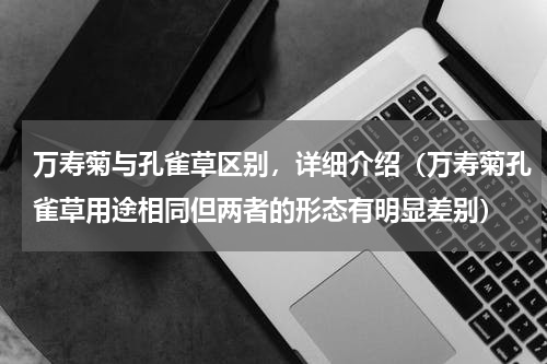 万寿菊与孔雀草区别，详细介绍（万寿菊孔雀草用途相同但两者的形态有明显差别）