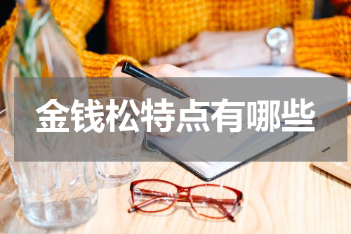 金钱松特点有哪些