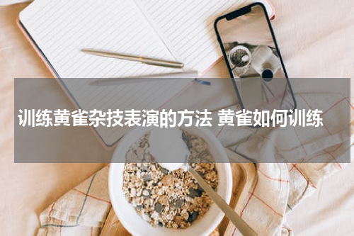 训练黄雀杂技表演的方法 黄雀如何训练