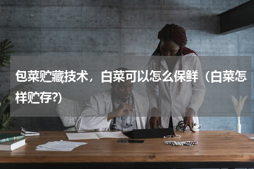 包菜贮藏技术，白菜可以怎么保鲜（白菜怎样贮存?）