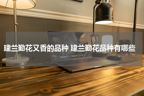 建兰勤花又香的品种 建兰勤花品种有哪些