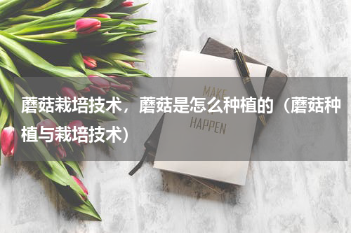 蘑菇栽培技术，蘑菇是怎么种植的（蘑菇种植与栽培技术）