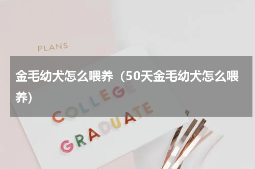 金毛幼犬怎么喂养（50天金毛幼犬怎么喂养）