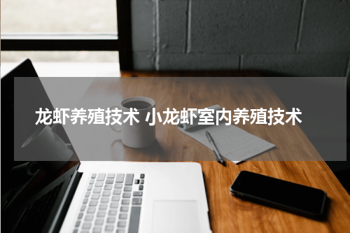 龙虾养殖技术 小龙虾室内养殖技术