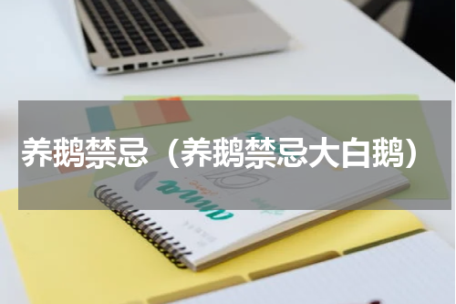 养鹅禁忌（养鹅禁忌大白鹅）