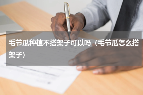 毛节瓜种植不搭架子可以吗（毛节瓜怎么搭架子）