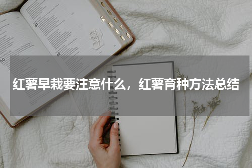 红薯早栽要注意什么，红薯育种方法总结