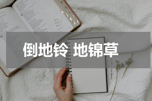 倒地铃 地锦草