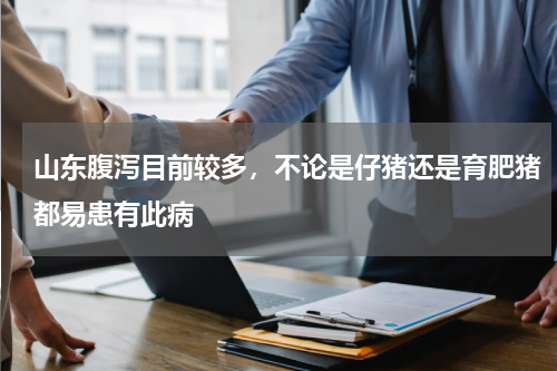 山东腹泻目前较多，不论是仔猪还是育肥猪都易患有此病