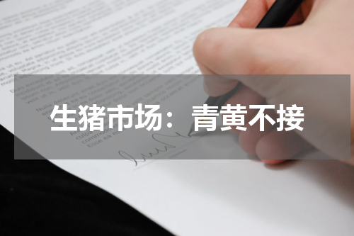 生猪市场：青黄不接