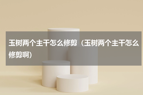 玉树两个主干怎么修剪（玉树两个主干怎么修剪啊）