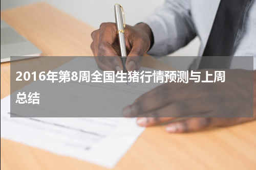 2016年第8周全国生猪行情预测与上周总结