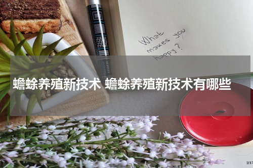 蟾蜍养殖新技术 蟾蜍养殖新技术有哪些