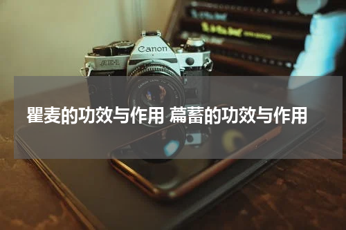 瞿麦的功效与作用 萹蓄的功效与作用