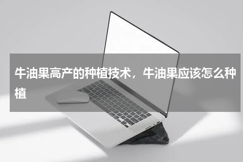 牛油果高产的种植技术，牛油果应该怎么种植