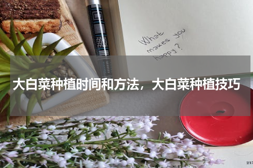 大白菜种植时间和方法，大白菜种植技巧