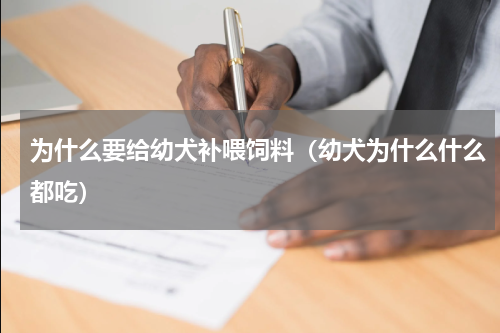 为什么要给幼犬补喂饲料（幼犬为什么什么都吃）