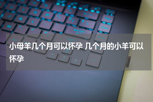 小母羊几个月可以怀孕 几个月的小羊可以怀孕