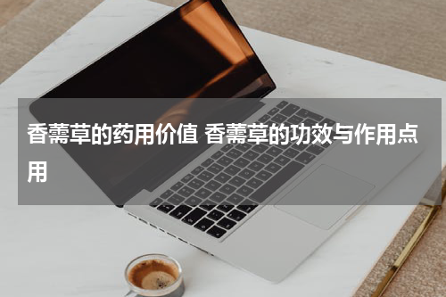 香薷草的药用价值 香薷草的功效与作用点用