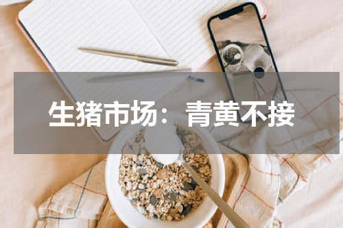 生猪市场：青黄不接