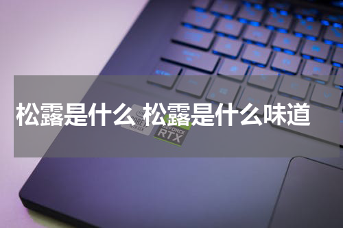 松露是什么 松露是什么味道