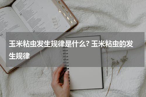 玉米粘虫发生规律是什么? 玉米粘虫的发生规律