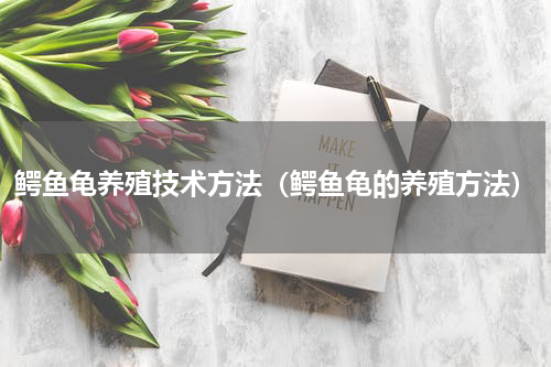 鳄鱼龟养殖技术方法（鳄鱼龟的养殖方法）