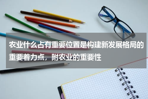 农业什么占有重要位置是构建新发展格局的重要着力点，附农业的重要性
