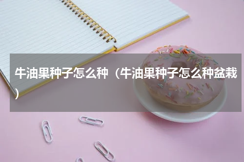 牛油果种子怎么种（牛油果种子怎么种盆栽）