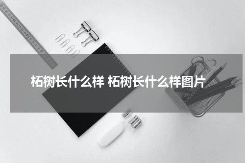 柘树长什么样 柘树长什么样图片