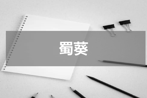 蜀葵